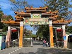 -广州市流溪河国家森林公园