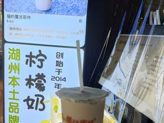 -猫的魔法密林(衣裳街店)
