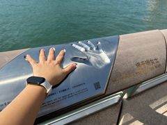 -星光大道