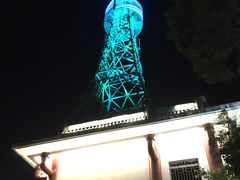 -金鸡山公园