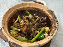 -天宝食坊·啫啫煲大排档(西华路店)