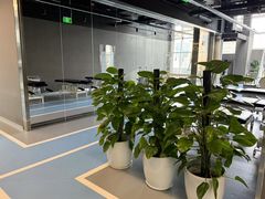 -OXYGYM 奥美氧舱运动中心(领展购物广场·中关村店)