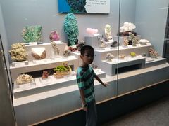 -湖南省地质博物馆