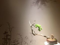 景点-辽宁省博物馆