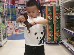 -TOYSRUS玩具反斗城(合肥万象城店)