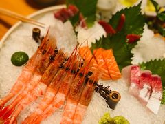 刺身-将军日本餐厅·Shogun 传统日料·铁板烧·板前料理(厦门马哥孛罗东方大酒店)