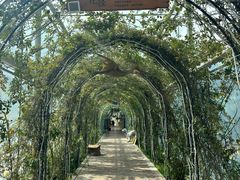 -沈阳植物园