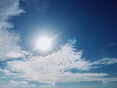 -北海金海湾红树林生态旅游区