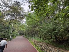 -北山公园