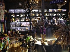 -雪灵魔法世界SHELLY’S TAROT(大良桂畔里店)