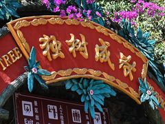 -独树成林