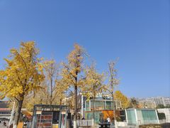-前门烤鸭(江东中路店)