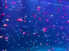 -南京金牛湖风景区