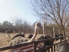 -济南野生动物世界