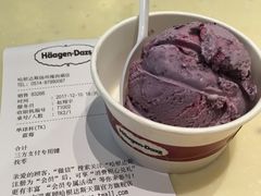 蓝莓冰激凌-哈根达斯(扬州瘦西湖店)