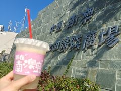 -南澳岛打卡果汁冰公司