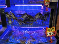 -亿牌牌东北烧烤(博物馆旗舰店)