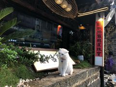 凉鸡米线-再回首鸡肉米线(人民路一店)