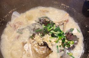 Thick Soup Bighead Carp