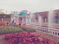 景点-百万葵园
