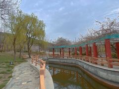 -浮来山风景区