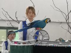 -哈尔滨北方森林动物园
