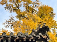 -潭柘寺景区