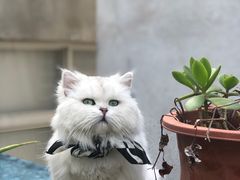 -大洋晶典(东街店)