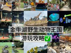 -南京金牛湖风景区