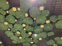 -福慧慈缘素食餐厅(王府井店)