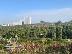 -东莞植物园