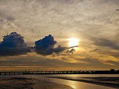 -宝安西湾红树林湿地公园