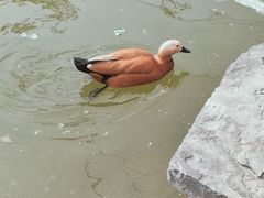 -森林公园(尖草坪区)