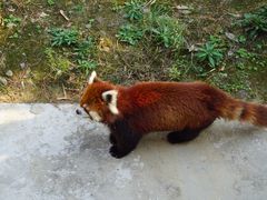 -杭州野生动物世界