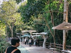 -野象谷景区