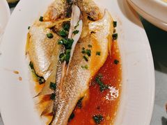 -舌尖上·霞浦滩涂海鲜·新闽菜(总店)