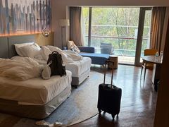 -上海佘山世茂艾美酒店