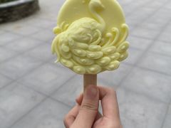 -武汉动物园