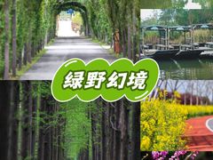 -上海长兴岛郊野公园