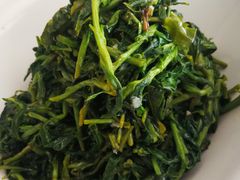 养生枸杞苗-老毛手抓·盐池滩羊非遗手抓(宁夏总店)