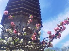 -玲珑塔公园