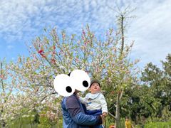 -蜀冈西峰生态公园