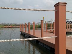 -芒洲湿地公园