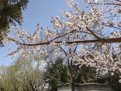 -团结湖公园