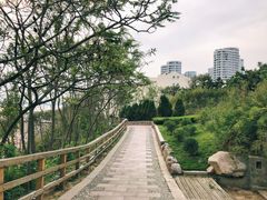 景点-燕儿岛山公园