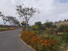 -上海长兴岛郊野公园