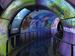 -房山世界地质公园博物馆