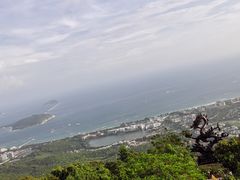 -亚龙湾热带天堂森林公园