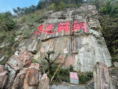 -铁山坪森林公园