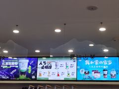-雾与山茶(大禹城店)